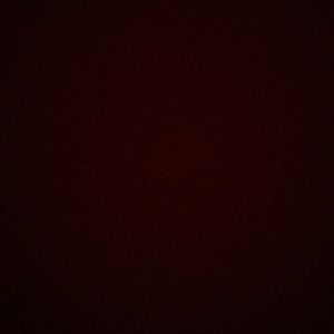 Meet your Posher, Alexia